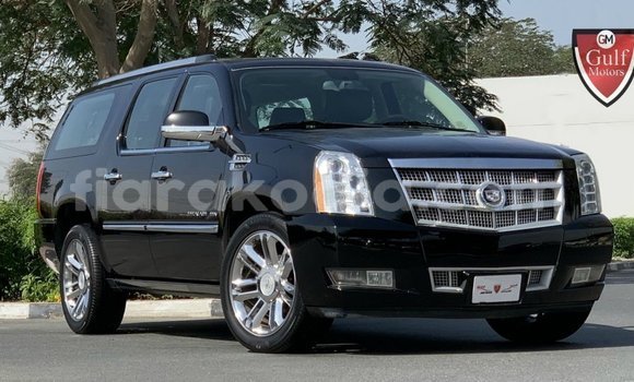 Acheter Import Voiture Cadillac Escalade Noir à Import - Dubai, Diana