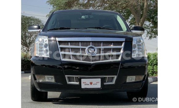 Hividy Cadillac Escalade Black Car in Import - Dubai in Diana Hividy Cadillac Escalade Black Car in Import - Dubai in Diana
