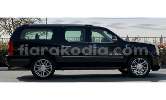Hividy Cadillac Escalade Black Car in Import - Dubai in Diana Hividy Cadillac Escalade Black Car in Import - Dubai in Diana