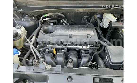 Buy Import Kia Sportage Black Car in Import - Dubai in Diana Buy Import Kia Sportage Black Car in Import - Dubai in Diana