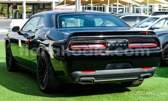 Buy Import Dodge Challenger Black Car in Import - Dubai in Diana Buy Import Dodge Challenger Black Car in Import - Dubai in Diana
