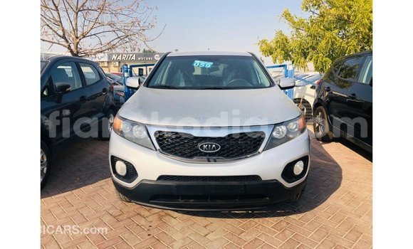 Hividy Kia Sorento Hafa Car in Import - Dubai in Diana Hividy Kia Sorento Hafa Car in Import - Dubai in Diana