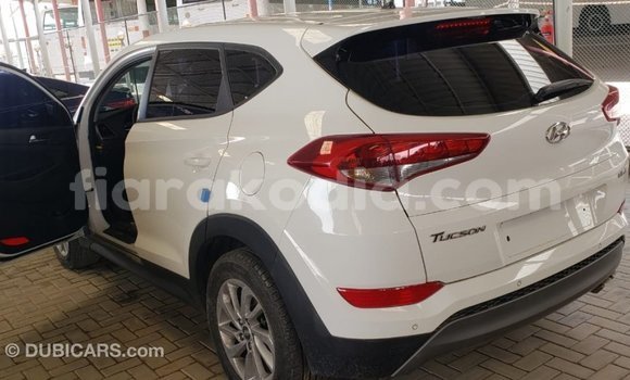 Hividy Hyundai Tucson fotsy Car in Import - Dubai in Diana Hividy Hyundai Tucson fotsy Car in Import - Dubai in Diana