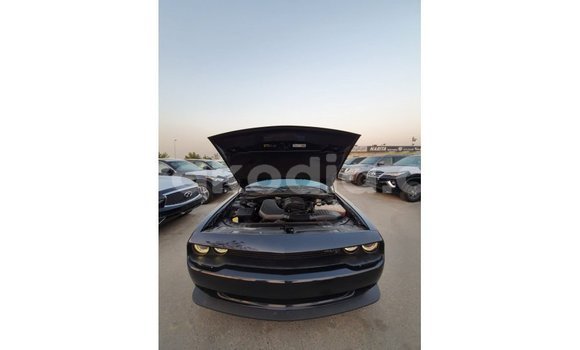 Hividy Dodge Challenger Black Car in Import - Dubai in Diana Hividy Dodge Challenger Black Car in Import - Dubai in Diana