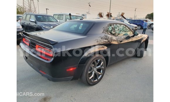 Hividy Dodge Challenger Black Car in Import - Dubai in Diana Hividy Dodge Challenger Black Car in Import - Dubai in Diana