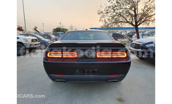 Hividy Dodge Challenger Black Car in Import - Dubai in Diana Hividy Dodge Challenger Black Car in Import - Dubai in Diana