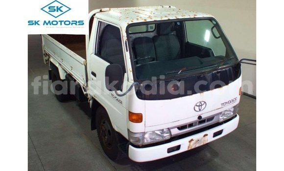 Acheter Import Utilitaire Toyota Dyna Blanc à Import - Dubai, Diana