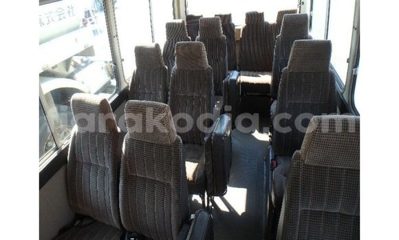 Buy Import Toyota Coaster White Car in Import - Dubai in Diana Buy Import Toyota Coaster White Car in Import - Dubai in Diana