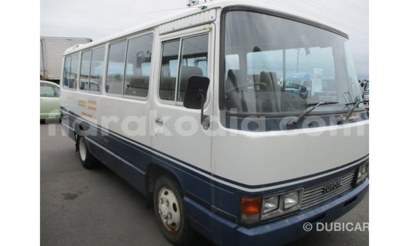 Buy Import Toyota Coaster White Car in Import - Dubai in Diana Buy Import Toyota Coaster White Car in Import - Dubai in Diana