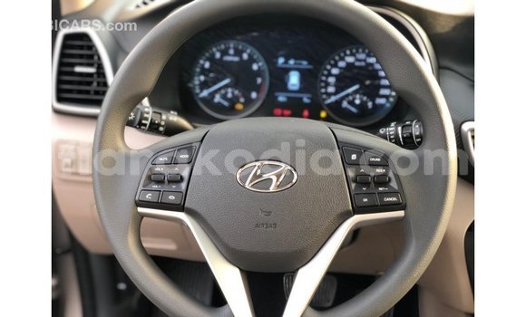 Hividy Hyundai Tucson Hafa Car in Import - Dubai in Diana Hividy Hyundai Tucson Hafa Car in Import - Dubai in Diana