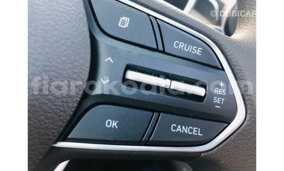 Hividy Hyundai Santa Fe fotsy Car in Import - Dubai in Diana Hividy Hyundai Santa Fe fotsy Car in Import - Dubai in Diana