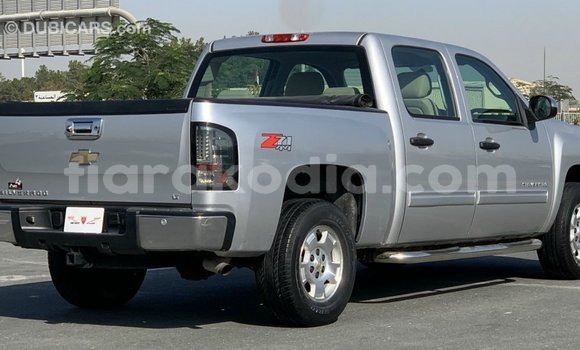 Hividy Chevrolet Silverado Hafa Car in Import - Dubai in Diana Hividy Chevrolet Silverado Hafa Car in Import - Dubai in Diana
