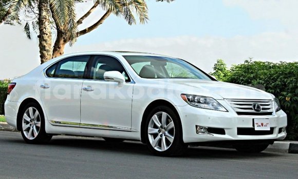 Acheter Import Voiture Lexus LS Blanc à Import - Dubai, Diana