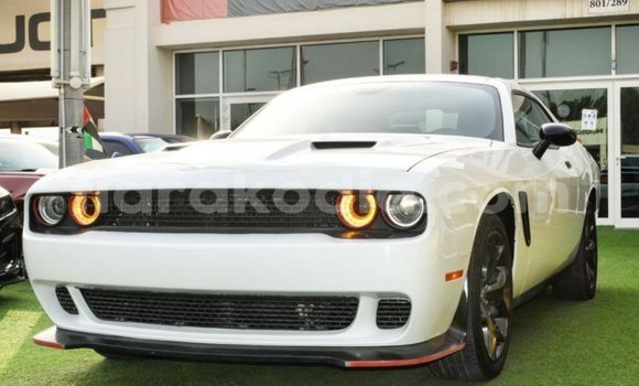 Buy Import Dodge Challenger White Car in Import - Dubai in Diana Buy Import Dodge Challenger White Car in Import - Dubai in Diana