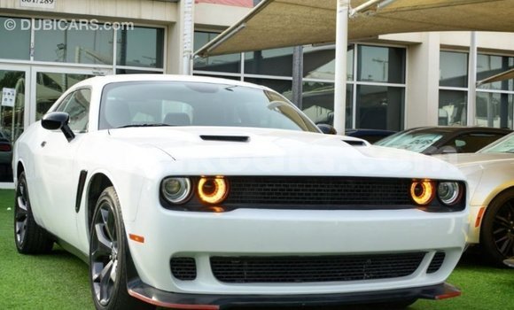 Buy Import Dodge Challenger White Car in Import - Dubai in Diana Buy Import Dodge Challenger White Car in Import - Dubai in Diana