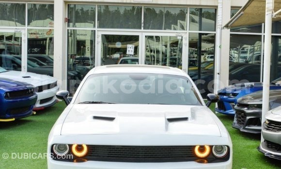Buy Import Dodge Challenger White Car in Import - Dubai in Diana Buy Import Dodge Challenger White Car in Import - Dubai in Diana