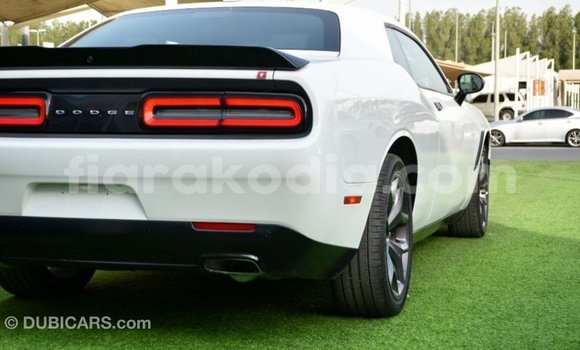 Buy Import Dodge Challenger White Car in Import - Dubai in Diana Buy Import Dodge Challenger White Car in Import - Dubai in Diana