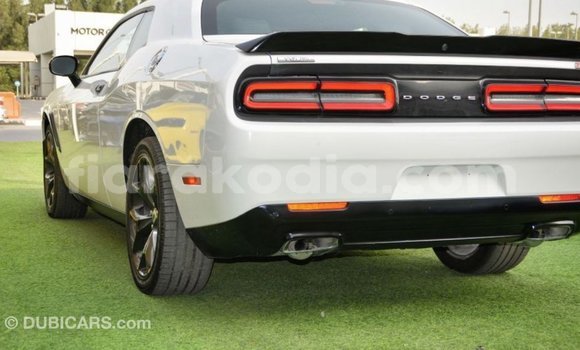 Buy Import Dodge Challenger White Car in Import - Dubai in Diana Buy Import Dodge Challenger White Car in Import - Dubai in Diana