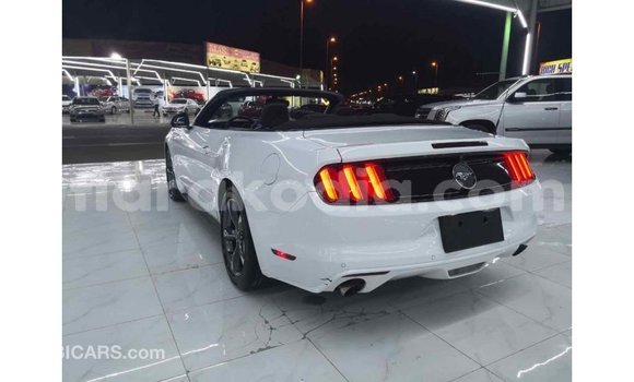 Acheter Import Voiture Ford Mustang Blanc à Import - Dubai, Diana Acheter Import Voiture Ford Mustang Blanc à Import - Dubai, Diana