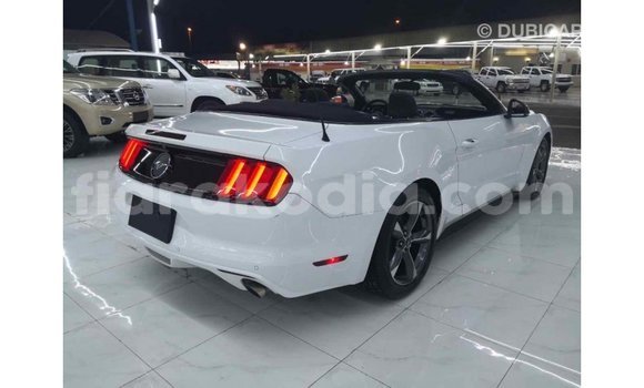 Acheter Import Voiture Ford Mustang Blanc à Import - Dubai, Diana Acheter Import Voiture Ford Mustang Blanc à Import - Dubai, Diana