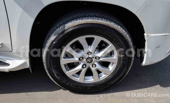 Acheter Import Voiture Toyota Land Cruiser Blanc à Import - Dubai, Diana Acheter Import Voiture Toyota Land Cruiser Blanc à Import - Dubai, Diana