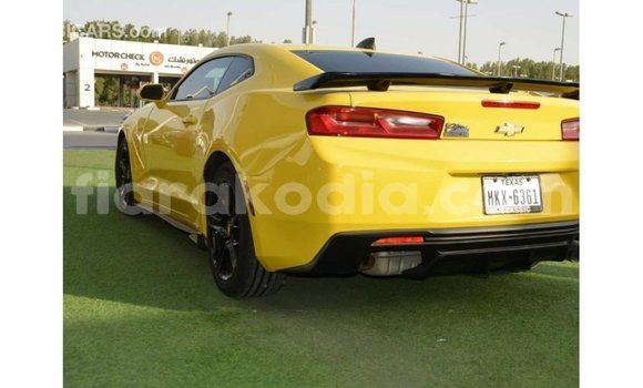 Buy Import Chevrolet Camaro Other Car in Import - Dubai in Diana Buy Import Chevrolet Camaro Other Car in Import - Dubai in Diana