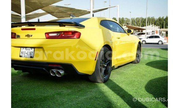 Buy Import Chevrolet Camaro Other Car in Import - Dubai in Diana Buy Import Chevrolet Camaro Other Car in Import - Dubai in Diana
