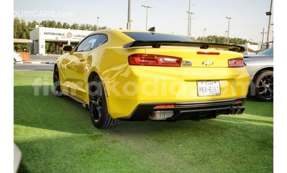 Buy Import Chevrolet Camaro Other Car in Import - Dubai in Diana Buy Import Chevrolet Camaro Other Car in Import - Dubai in Diana