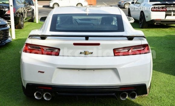 Buy Import Chevrolet Camaro White Car in Import - Dubai in Diana Buy Import Chevrolet Camaro White Car in Import - Dubai in Diana