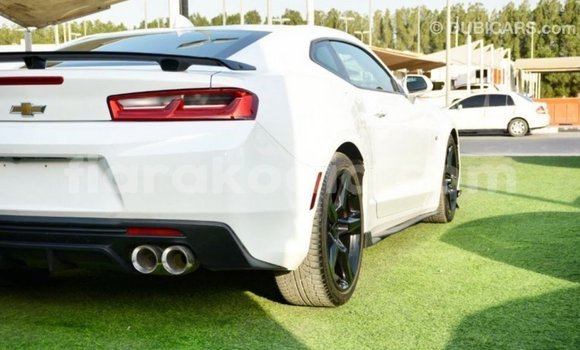 Buy Import Chevrolet Camaro White Car in Import - Dubai in Diana Buy Import Chevrolet Camaro White Car in Import - Dubai in Diana