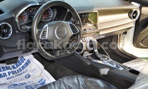 Buy Import Chevrolet Camaro White Car in Import - Dubai in Diana Buy Import Chevrolet Camaro White Car in Import - Dubai in Diana