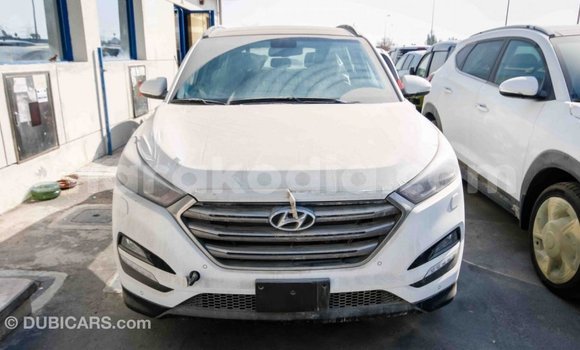 Hividy Hyundai Tucson fotsy Car in Import - Dubai in Diana Hividy Hyundai Tucson fotsy Car in Import - Dubai in Diana