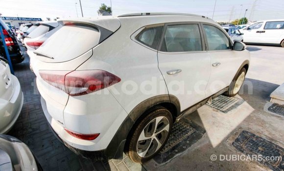 Hividy Hyundai Tucson fotsy Car in Import - Dubai in Diana Hividy Hyundai Tucson fotsy Car in Import - Dubai in Diana