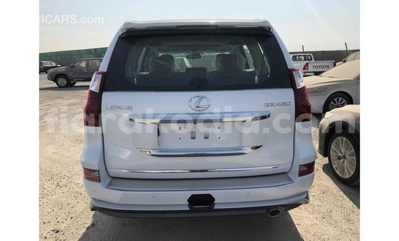 Acheter Import Voiture Lexus GX Blanc à Import - Dubai, Diana Acheter Import Voiture Lexus GX Blanc à Import - Dubai, Diana