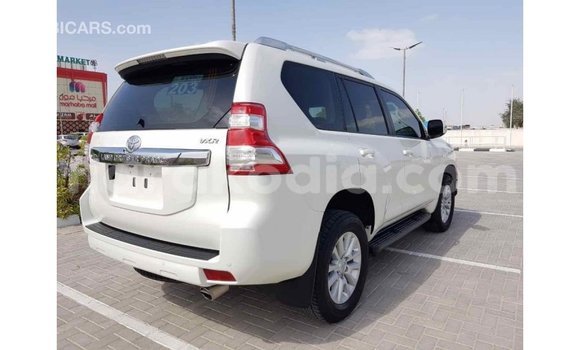 Buy Import Toyota Prado White Car in Import - Dubai in Diana Buy Import Toyota Prado White Car in Import - Dubai in Diana