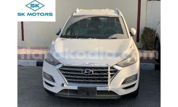 Acheter Import Voiture Hyundai Tucson Blanc à Import - Dubai, Diana