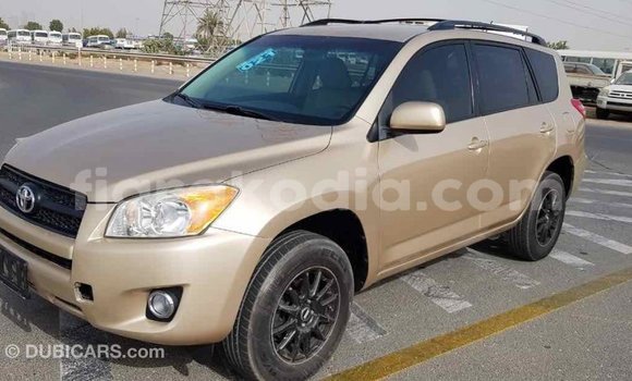 Hividy Toyota RAV4 Hafa Car in Import - Dubai in Diana Hividy Toyota RAV4 Hafa Car in Import - Dubai in Diana