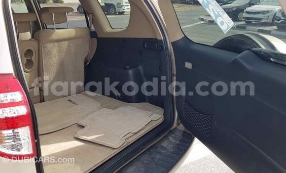 Hividy Toyota RAV4 Hafa Car in Import - Dubai in Diana Hividy Toyota RAV4 Hafa Car in Import - Dubai in Diana