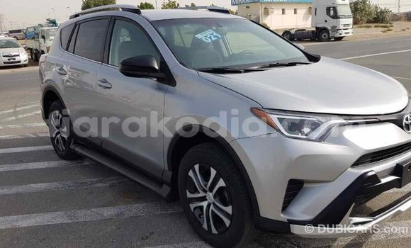 Buy Import Toyota RAV4 Other Car in Import - Dubai in Diana Buy Import Toyota RAV4 Other Car in Import - Dubai in Diana