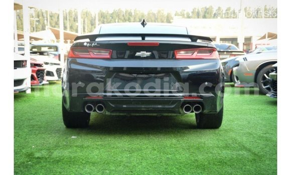 Buy Import Chevrolet Camaro Black Car in Import - Dubai in Diana Buy Import Chevrolet Camaro Black Car in Import - Dubai in Diana