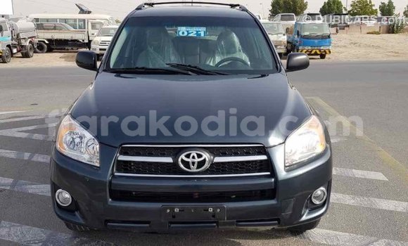 Hividy Toyota RAV4 Green Car in Import - Dubai in Diana Hividy Toyota RAV4 Green Car in Import - Dubai in Diana