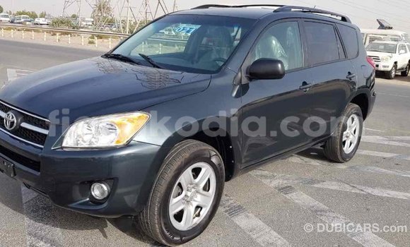 Hividy Toyota RAV4 Green Car in Import - Dubai in Diana Hividy Toyota RAV4 Green Car in Import - Dubai in Diana