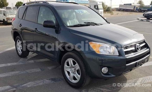 Hividy Toyota RAV4 Green Car in Import - Dubai in Diana Hividy Toyota RAV4 Green Car in Import - Dubai in Diana