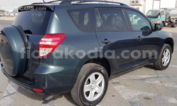 Hividy Toyota RAV4 Green Car in Import - Dubai in Diana Hividy Toyota RAV4 Green Car in Import - Dubai in Diana