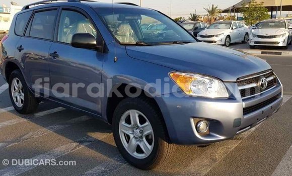 Acheter Import Voiture Toyota RAV4 Bleu à Import - Dubai, Diana Acheter Import Voiture Toyota RAV4 Bleu à Import - Dubai, Diana