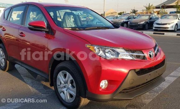 Hividy Toyota RAV4 Red Car in Import - Dubai in Diana Hividy Toyota RAV4 Red Car in Import - Dubai in Diana