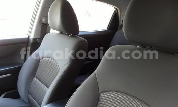 Buy New SsangYong Korando Silver Car in Antananarivo in Analamanga Buy New SsangYong Korando Silver Car in Antananarivo in Analamanga