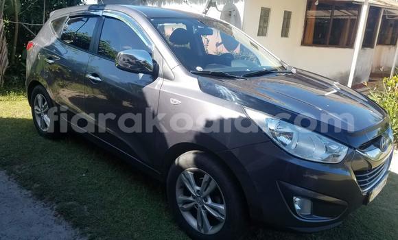 Buy Used Hyundai Tucson Silver Car in Antananarivo in Analamanga Buy Used Hyundai Tucson Silver Car in Antananarivo in Analamanga