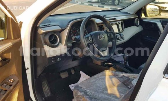 Buy Import Toyota RAV4 White Car in Import - Dubai in Diana Buy Import Toyota RAV4 White Car in Import - Dubai in Diana