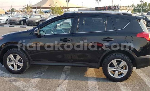 Hividy Toyota RAV4 Black Car in Import - Dubai in Diana Hividy Toyota RAV4 Black Car in Import - Dubai in Diana